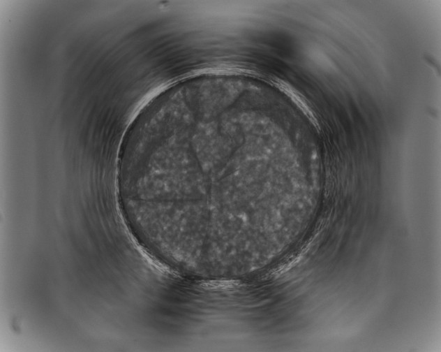 X0000097760853200804041124