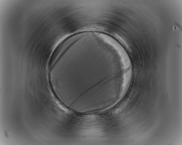 X0000097760854200804041124