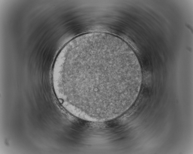 X0000097760856200804041124