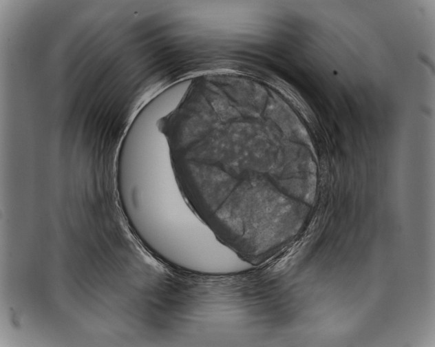 X0000097760858200804041124