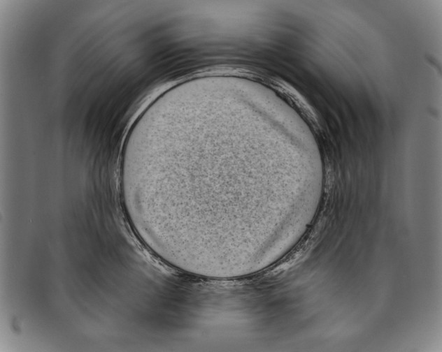 X0000097760860200804041124