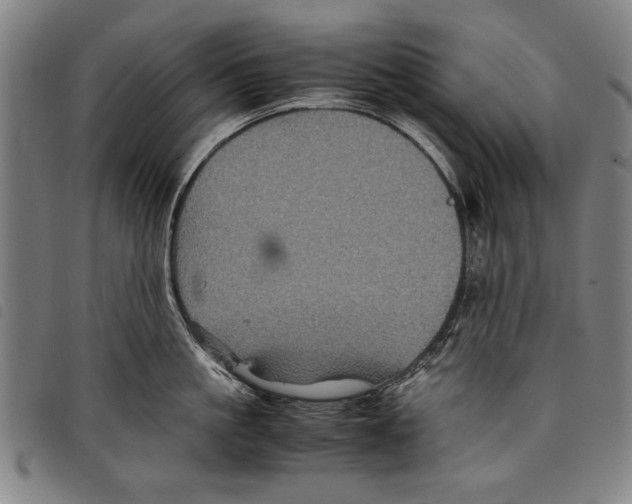 X0000097760861200804041124