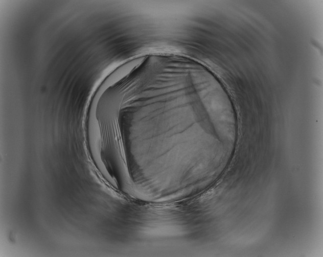 X0000097760864200804041124