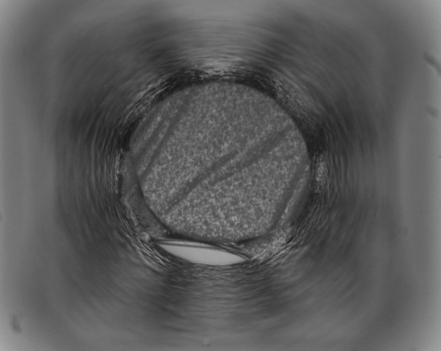 X0000097760868200804041123