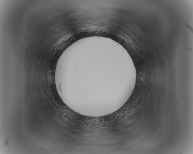 X0000097760869200804041123