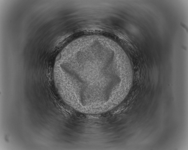 X0000097760870200804041123