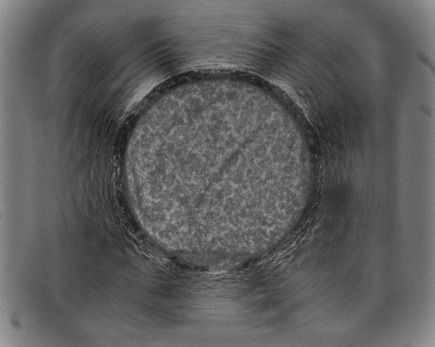 X0000097760871200804041123