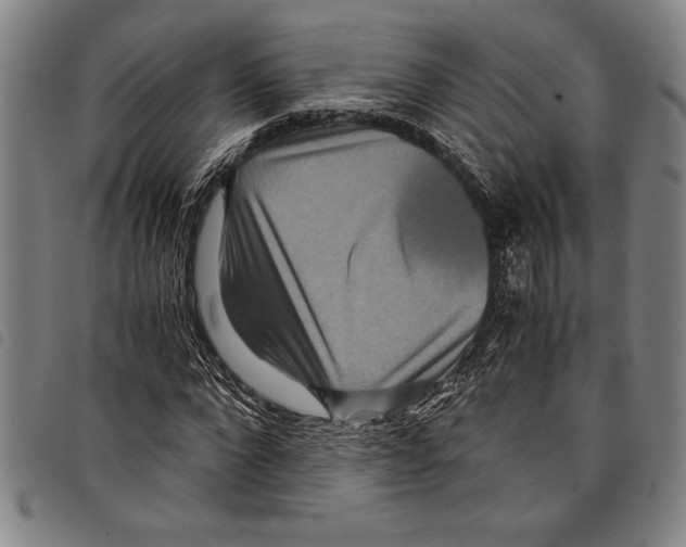 X0000097760872200804041123