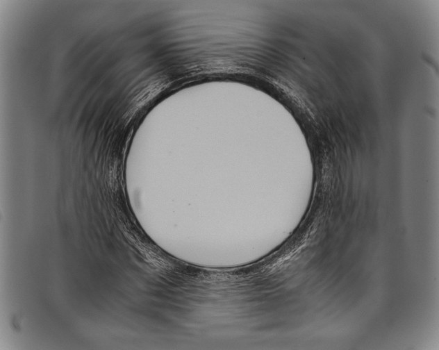 X0000097760873200804041123