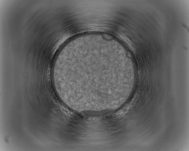 X0000097760875200804041123