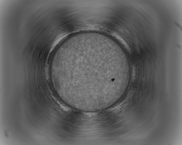 X0000097760878200804041123