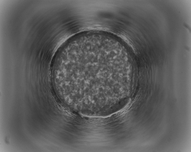 X0000097760879200804041123