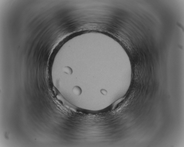 X0000097760880200804041123