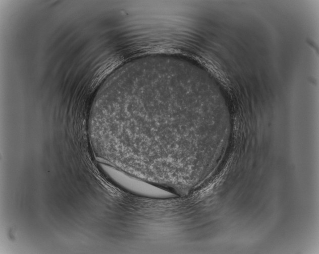 X0000097760881200804041123