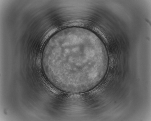 X0000097760882200804041123