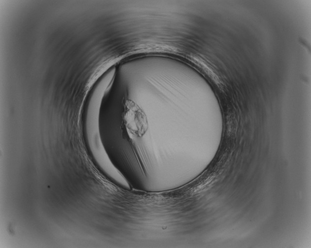 X0000097760885200804041123