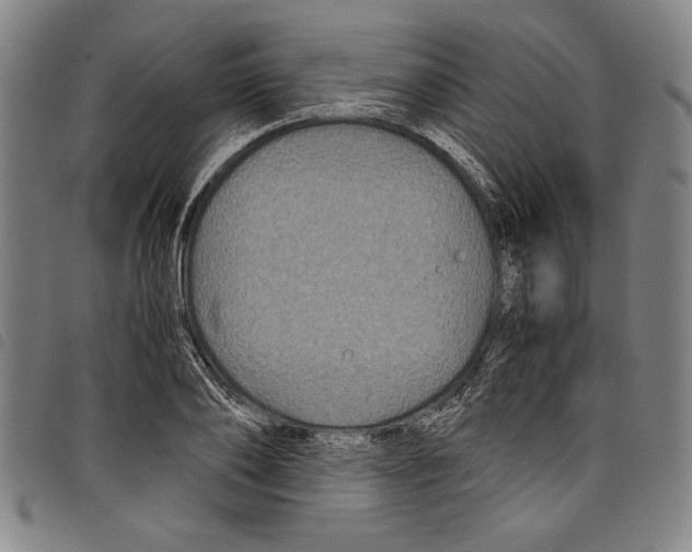 X0000097760886200804041123