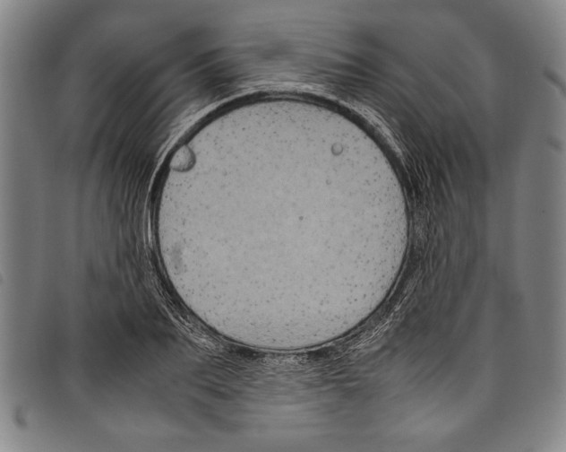 X0000097760887200804041123