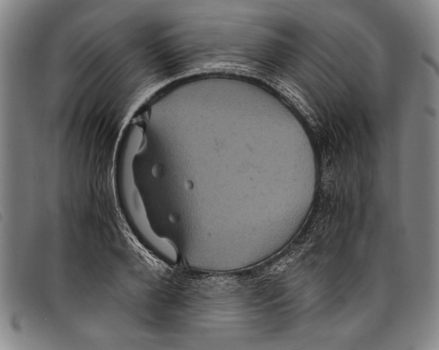 X0000097760888200804041123