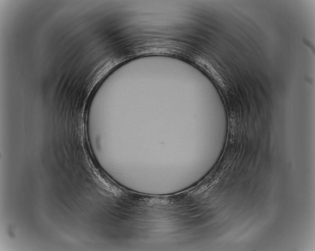 X0000097760890200804041123