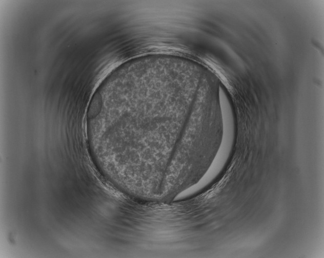 X0000097760891200804041123