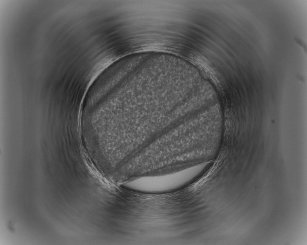 X0000097760892200804041123