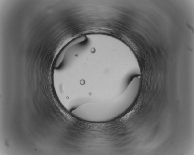 X0000097760893200804041123