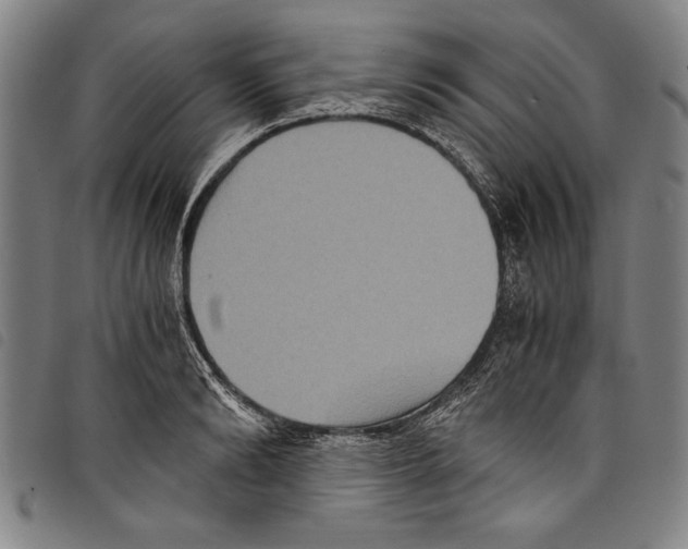 X0000097760894200804041123