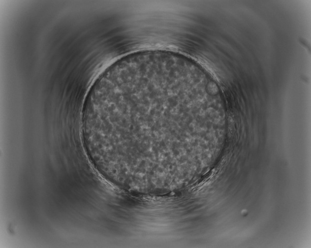 X0000097760895200804041123