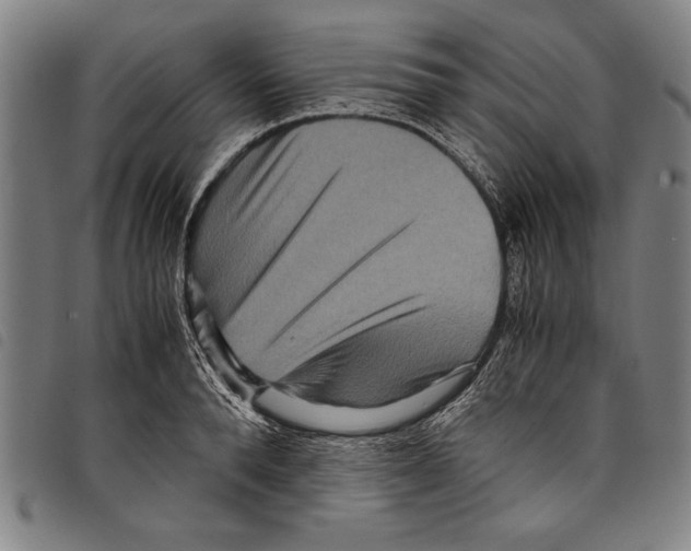 X0000097760896200804041123