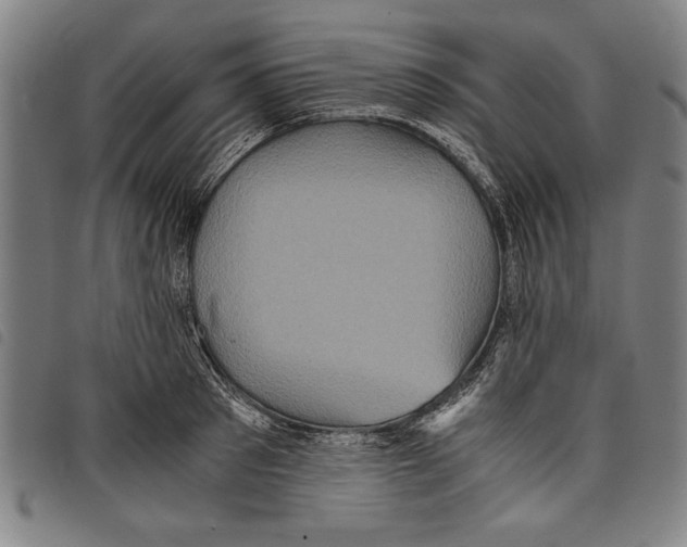 X0000097760897200804041123