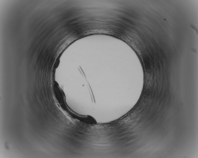 X0000097760898200804041123