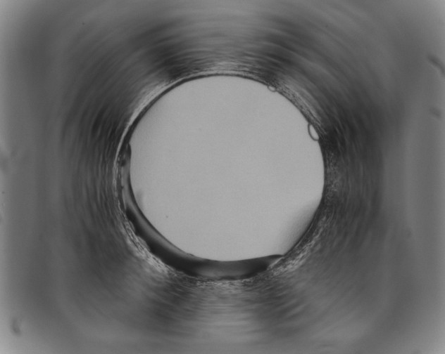 X0000097760900200804041123