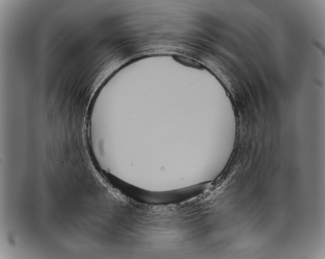 X0000097760901200804041123