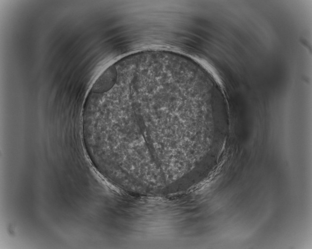 X0000097760903200804041123