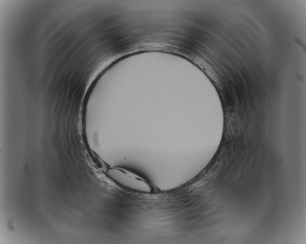 X0000097760904200804041123