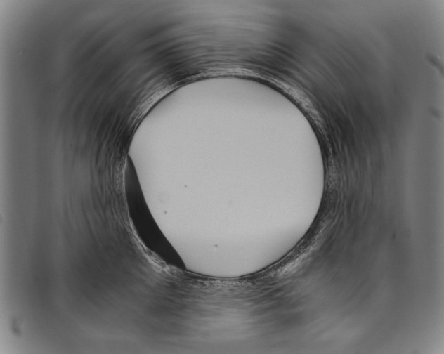 X0000097760905200804041123