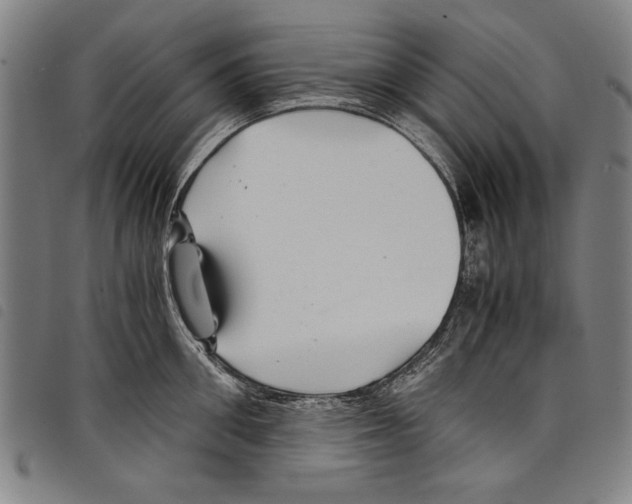 X0000097760906200804041123