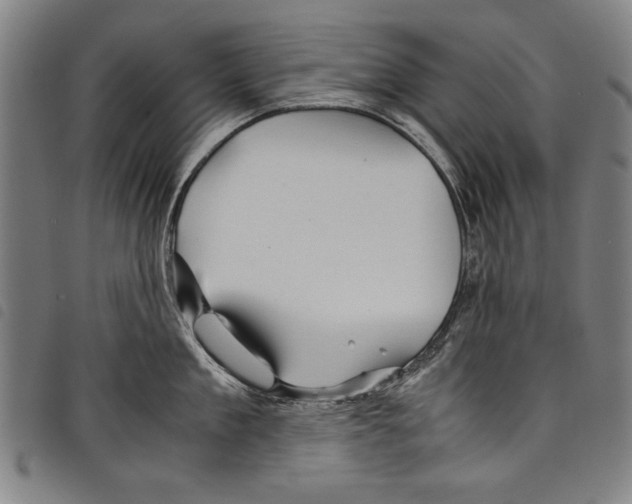 X0000097760909200804041123