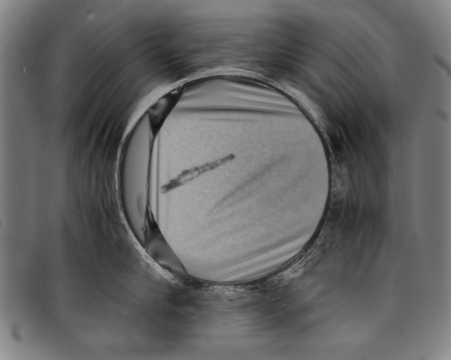 X0000097760910200804041123