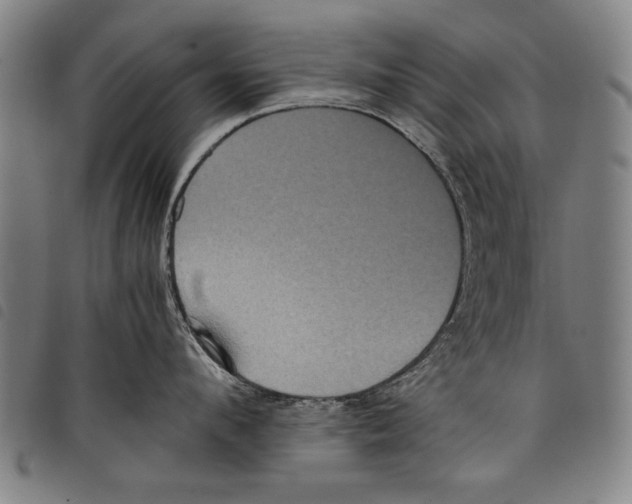 X0000097760912200804041123