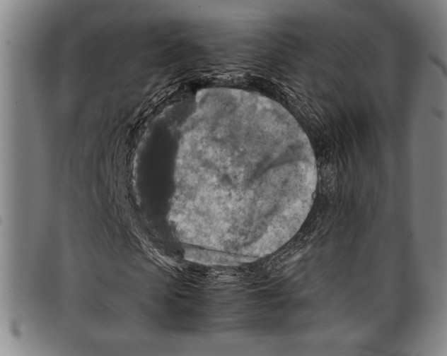 X0000097760913200804041122