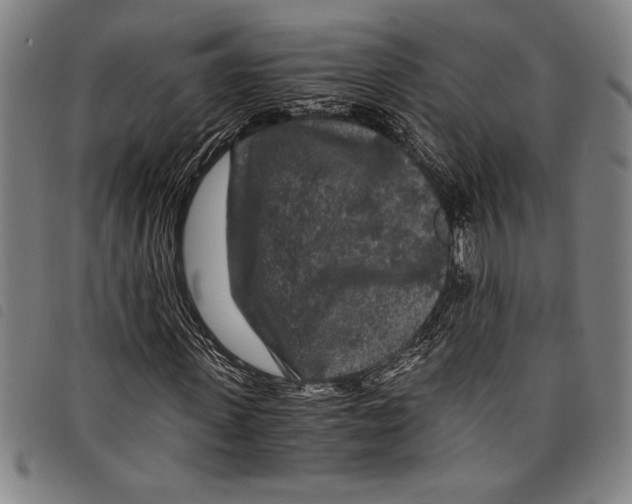 X0000097760915200804041122