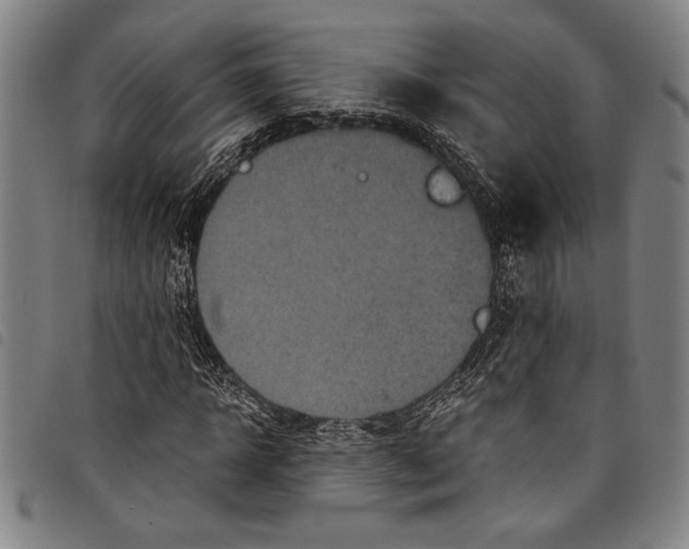 X0000097760918200804041122