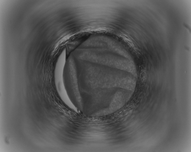 X0000097760920200804041122