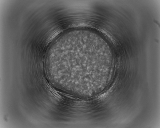 X0000097760921200804041122