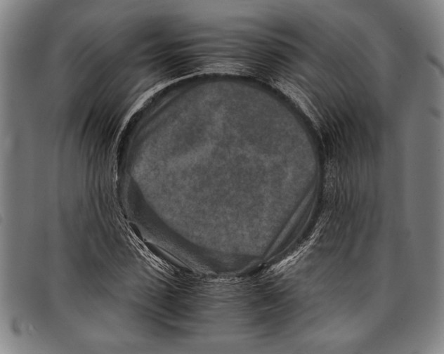 X0000097760923200804041122