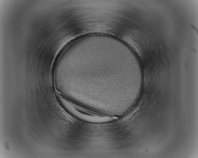 X0000097760924200804041122