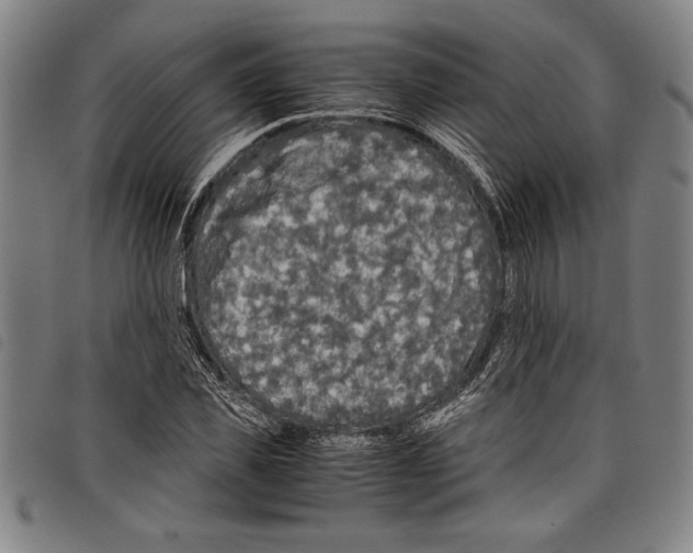 X0000097760925200804041122