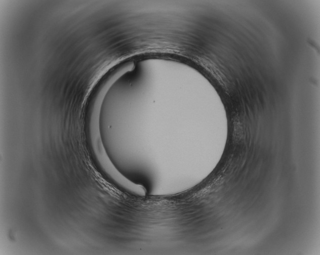 X0000097760926200804041122